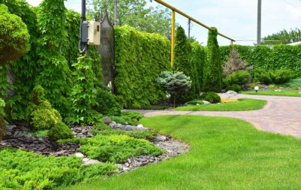 Озеленение