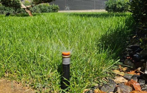 Автоматический полив